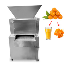 Professional Orange Juicer Machine Automatic Industrial Commercial Lemon Juicer Machine